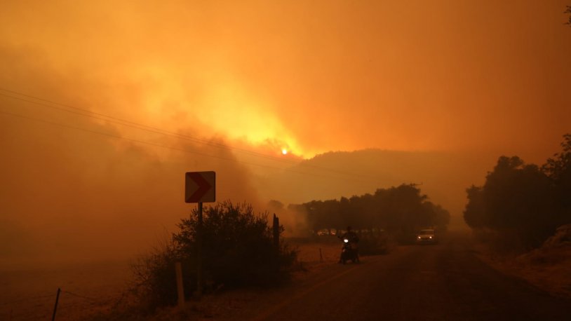 Bodrum Belediye Başkanı Aras tan orman yangınlarına ilişkin yeni açıklama
