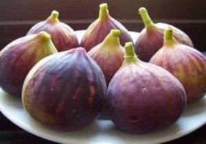Bir Çuval İnciri Berbat Ettik 