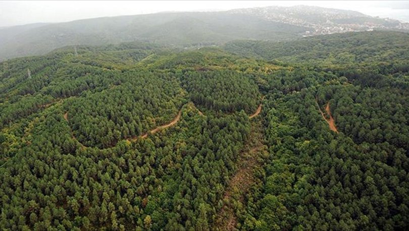 Cumhurbaşkanı kararı: 4 ilde bazı alanlar orman sınırları dışına çıkartıldı
