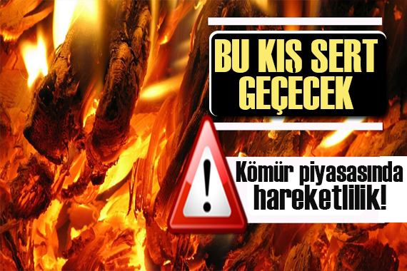 Bu kış sert geçecek! Doğal gazın ardından sıra kömürde