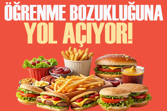 Fazla  fast food  tüketmek öğrenme bozukluğuna yol açıyor