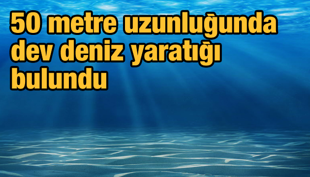 50 metre uzunluğunda zehirli bir yaratık bulundu!