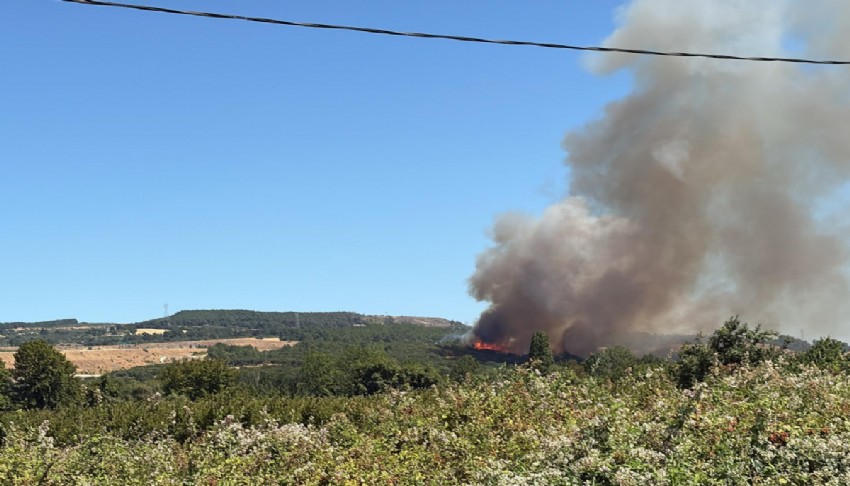 Çanakkale’de tarım arazisinde yangın