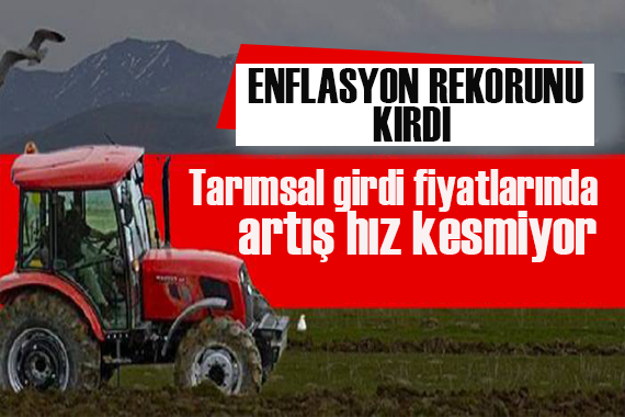 Tarımsal girdi enflasyonu rekorunu yeniledi