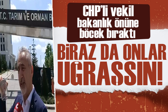 CHP li vekil bakanlık önüne istilacı böcekleri bıraktı: Tarım bakanı ile kahverengi kokarcayı tanıştırma etkinliğine hoşgeldiniz!