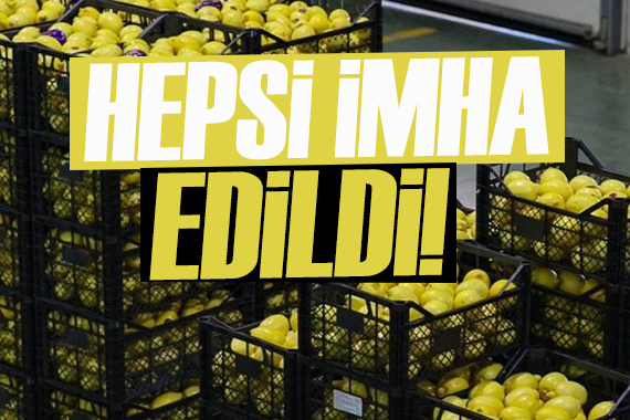 Pestisit alarmı: 55 ton limon imha edildi!
