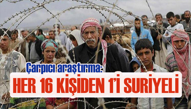 Çarpıcı araştırma: Her 16 kişiden 1 i Suriyeli