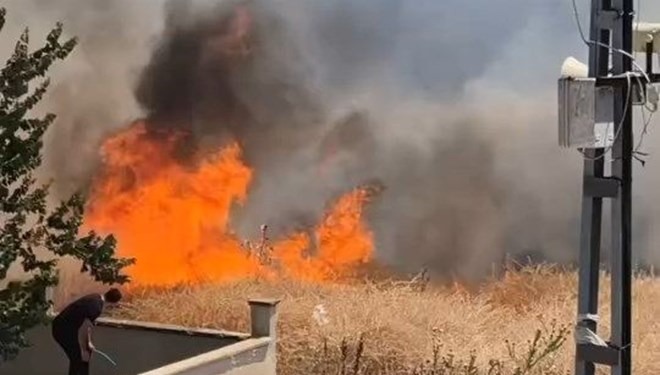İstanbul da buğday tarlasında korkutan yangın