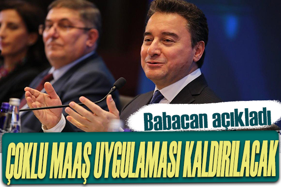 Babacan, partisinin ekonomi planını açıkladı: Çoklu maaş uygulaması kaldırılacak