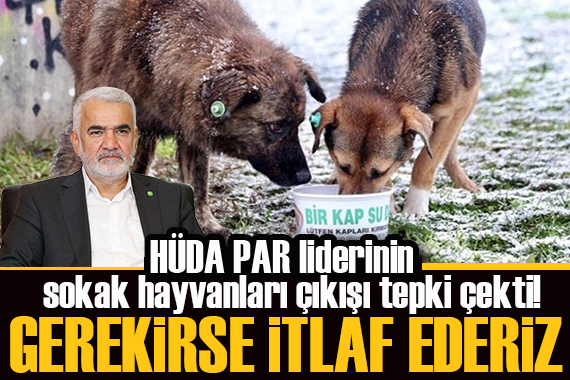 HÜDA PAR liderinin sokak hayvanları çıkışı tepki çekti!  İtlaf gerekiyorsa itlaf edeceğiz