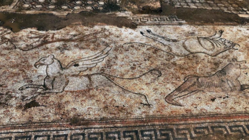 Kaçak kazıda çıkan mozaikler Zeugma Müzesi nde