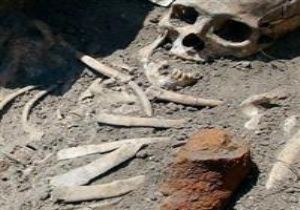 800 Yıllık Vampir İskelet!