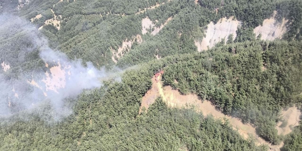 Çanakkale deki orman yangını kontrol altına alındı