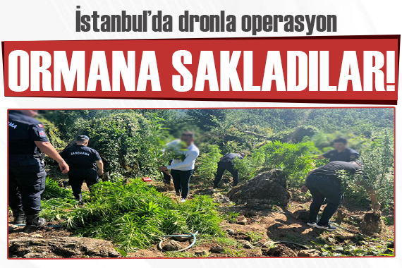 İstanbul’da dronla operasyon: Ormana sakladılar!
