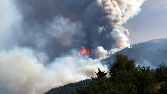 Bakan Pakdemirli: Orman yangınlarına müdahale ediliyor