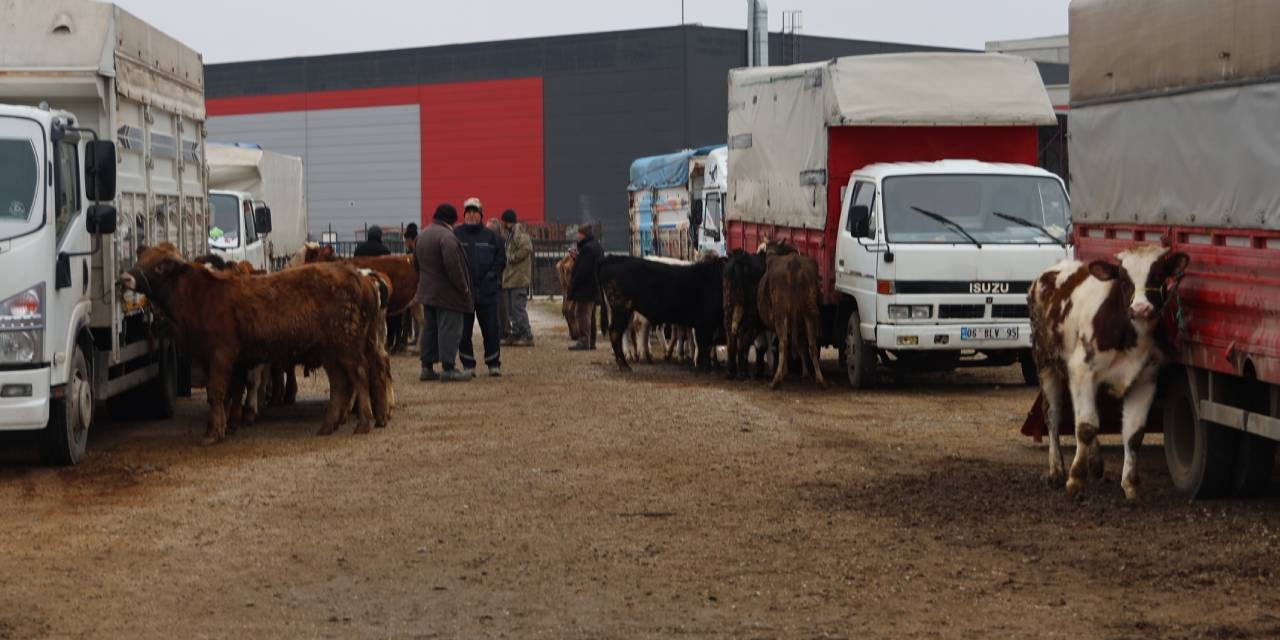 Hayvan pazarına kapatma kararı