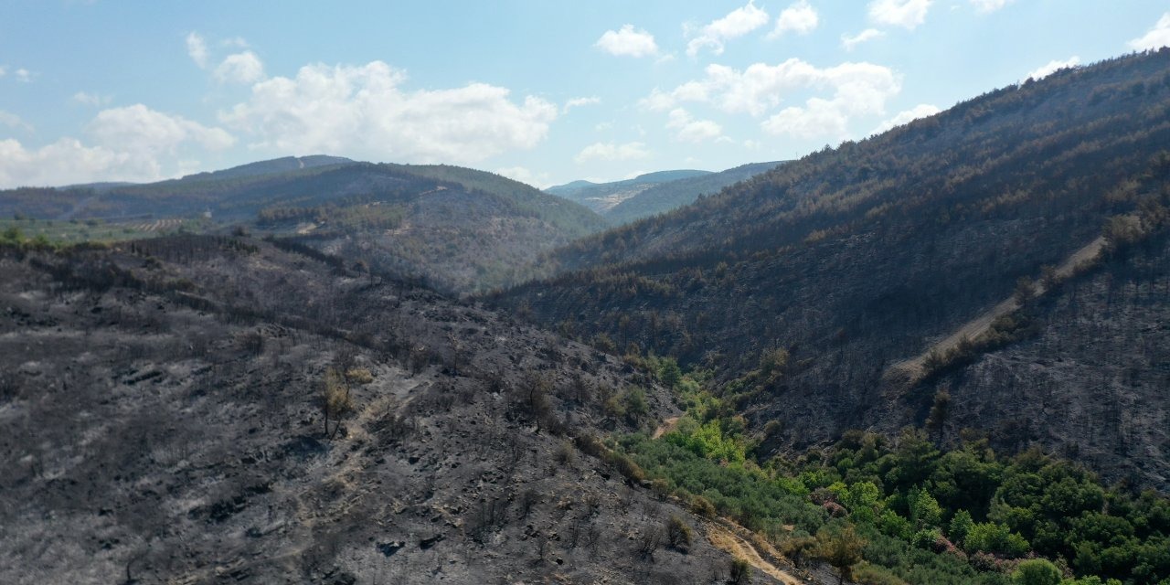 Manisa da orman yangını şüphelisi tutuklandı