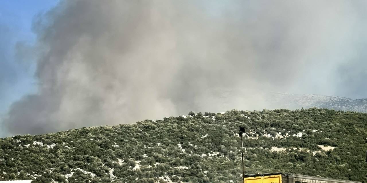 Manisa da orman yangını