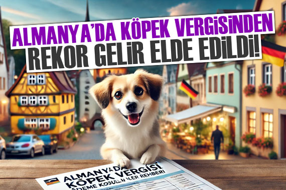 Almanya da belediyeler 2023’te köpek vergisinden rekor gelir elde etti