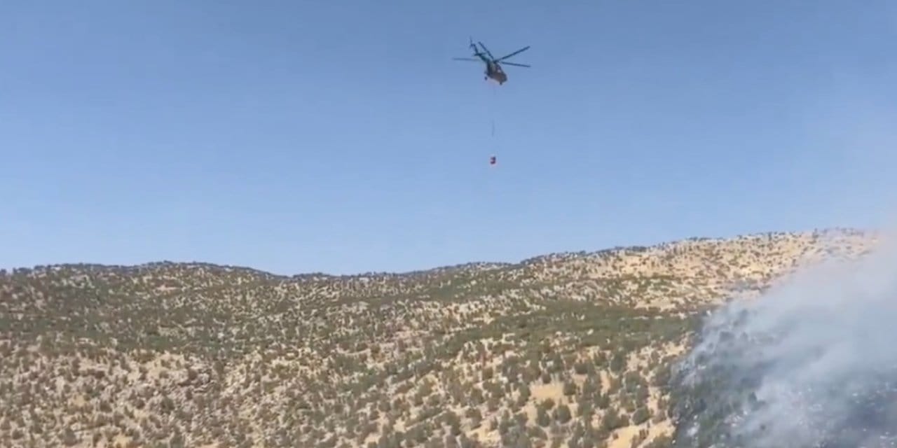 Şırnak taki orman yangını kontrol altında