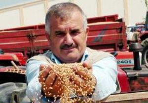 ÇİFTÇİ YİNE ÜZÜLDÜ: