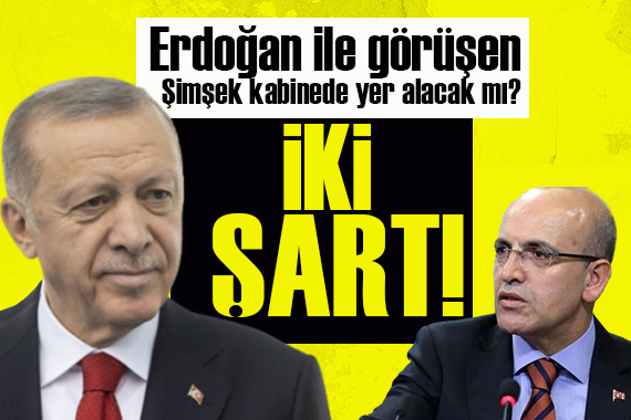 Erdoğan ile görüşen Şimşek ten kabinede görev alacak mı? İşte Şimşek in iki şartı...