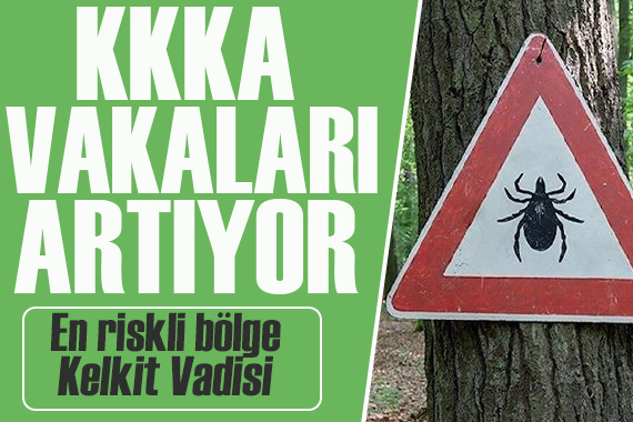 KKKA vakalar artıyor! En riskli bölge Kelkit Vadisi