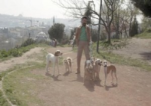 Ünlü Aktörü Köpekler Hastanelik Etti