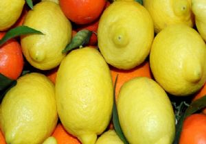 Markette zam şampiyonu limon!
