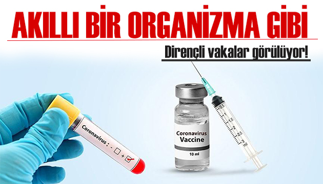 Uzman doktor: Virüs akıllı bir organizma gibi!