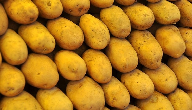 Patates alıcı bulamıyor!
