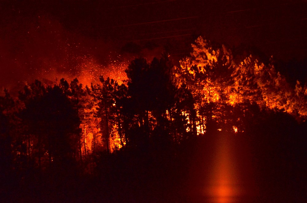 Trabzon da büyük orman yangını!