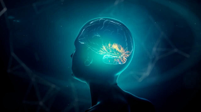 Dünyanın en genç alzheimer hastası: 19 yaşındaki gence şaşırtan tehşis