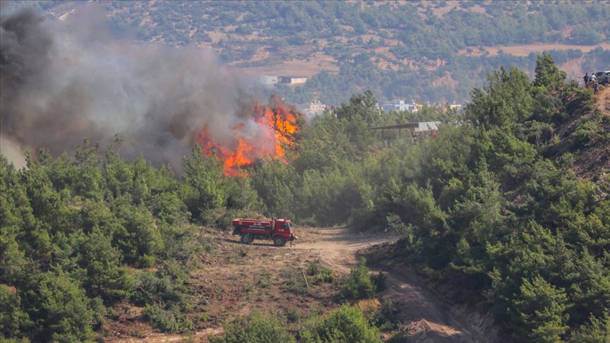 Hatay da orman yangını: Müdahale edildi