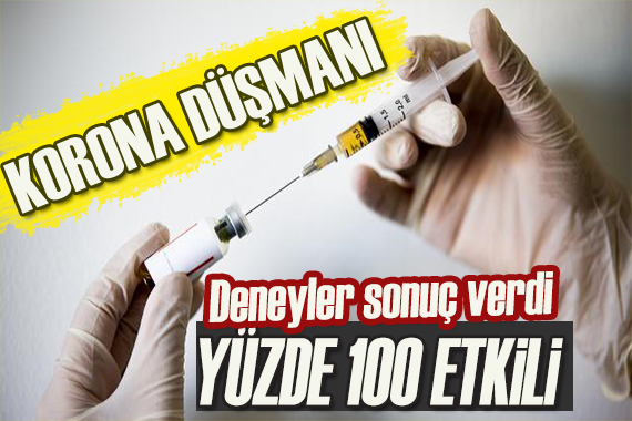 Yeni korona aşısı yüzde yüz etkili