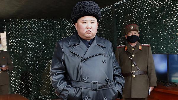 Kuzey Kore de Kovid 19 tedbirlerini ihlal eden kişi kurşuna dizildi!