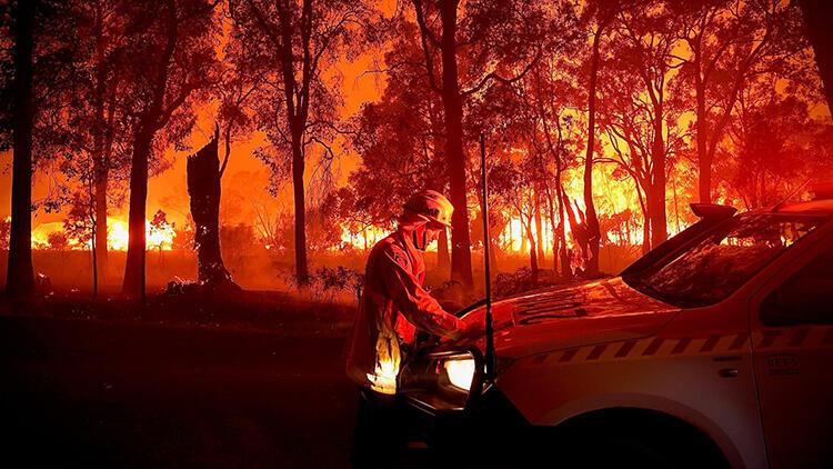 Avustralya’da orman yangını