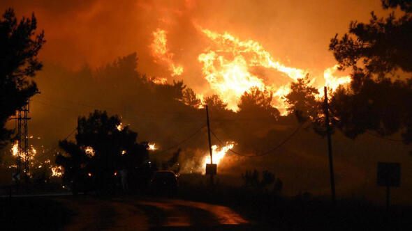 İzmir deki orman yangında karar