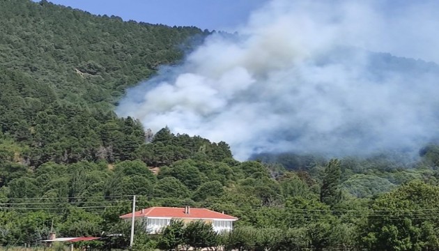 İzmir'de alev alev! Müdahaleler devam ediyor