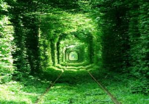 En Romantik Tren Yolu