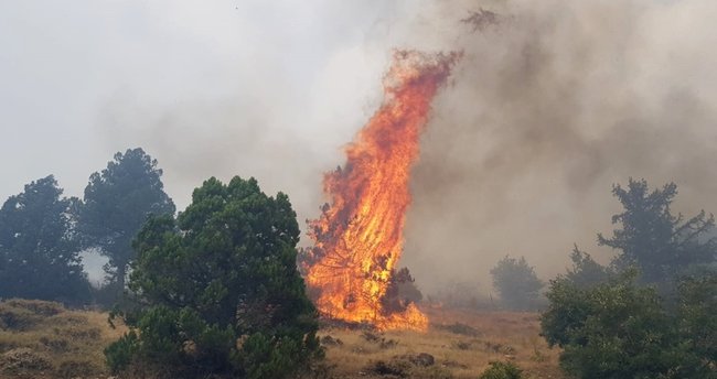 İzmir Karaburun da orman yangını!