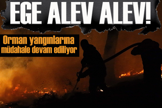 Muğla da ciğerlerimiz alev alev!  Yangınlara havadan ve karadan müdahale sürüyor