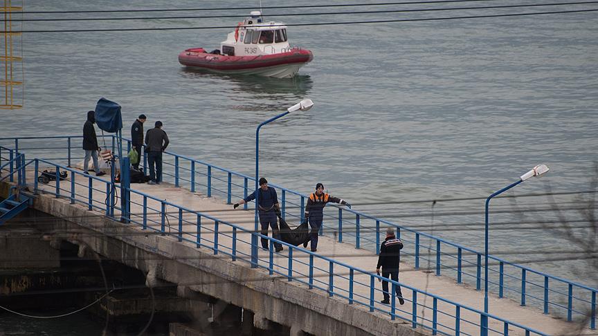 Rus uçağıyla ilgili yeni iddia!