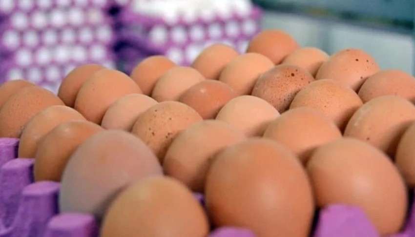 Yumurtalarda salmonella alarmı! Raflardan toplatılıyor