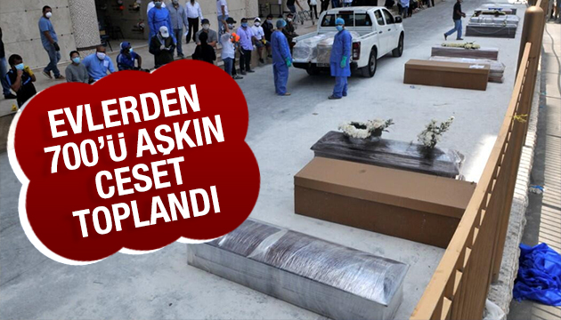 Evlerden 700 den fazla ceset toplandı