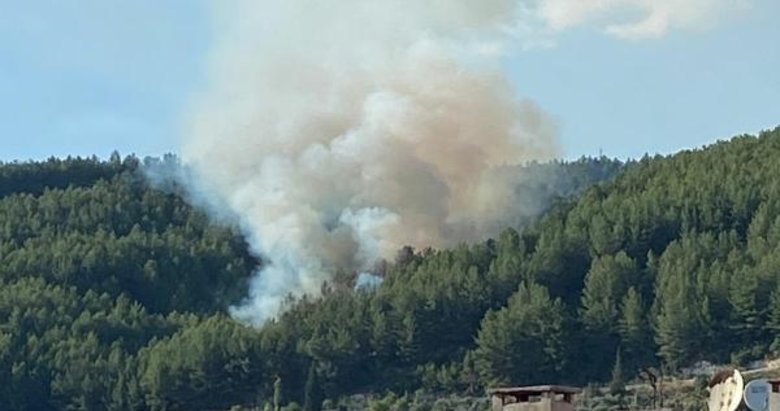 Muğla da orman yangını: Ekipler bölgede