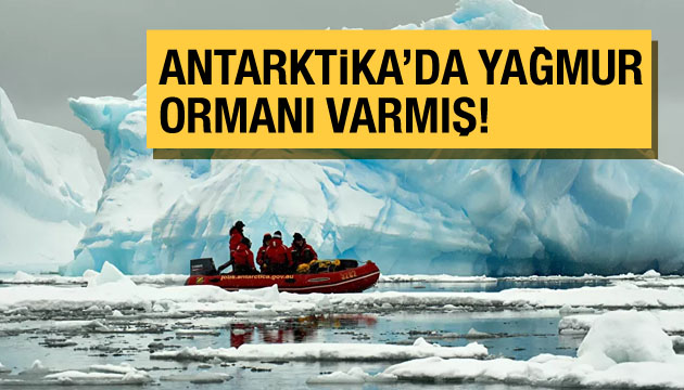 Antarktika da yağmur ormanı varmış!