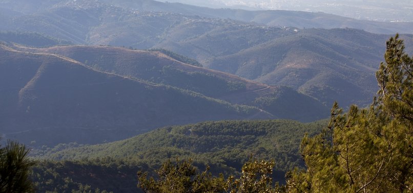 Kaz Dağları, polenlerin esiri oldu