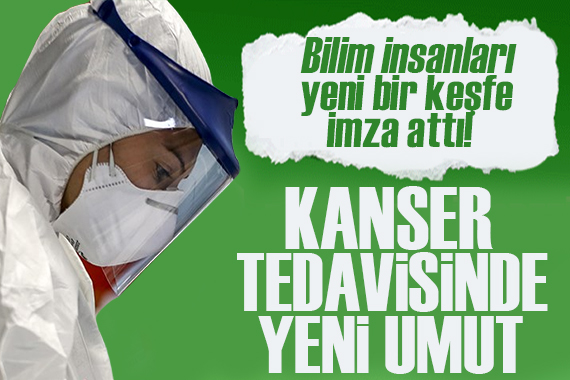 Bilim insanları başardı: Zombi mantarlar kanser tedavisinde umut olacak