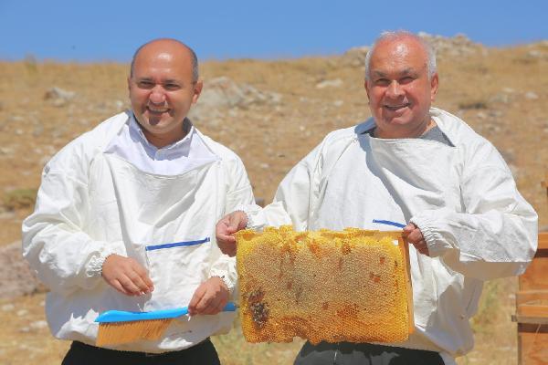 Toroslarda yetişen bal Katar yolcusu